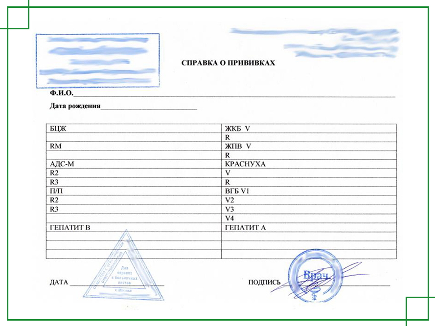 Справка о прививке от дизентерии Зонне